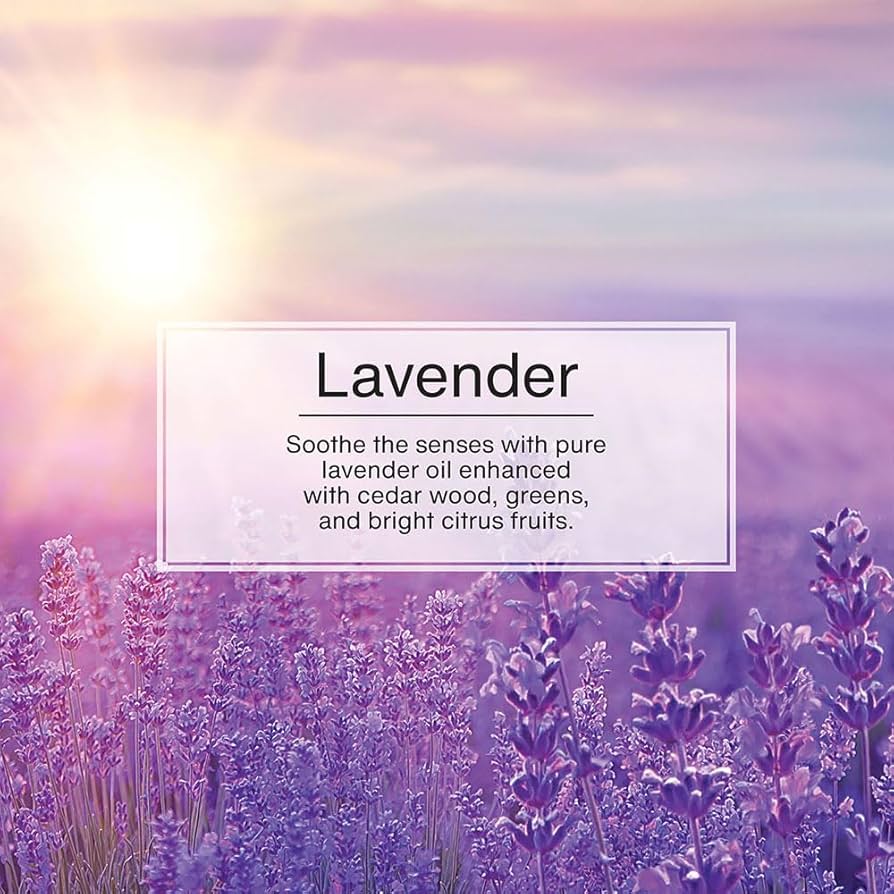 Essentials I Am Blessed Air Freshener + Keychain – Lavender Scent